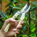 Stainless Steel Pruning Shears With Sharp Blades And Comfortable Handle - Durable Hand Pruner For Comfortable And Easy Cutting, Heavy Duty Gardening Cutter Tool Plant Cutter For Home Garden | Wood Bran (1 Pc) - Image 3