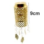 7231_Fancy_Golden_Jhoomer