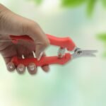Heavy Duty Stainless Steel Cutter, Non€‘Slip Trimming Scissors Durable Not Easy To Wear For Gardening Pruning Of Fruit Trees Flowers And Plants (With Plastic Packing)