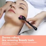 6602 Derma Roller Anti Ageing and Facial Scrubs & Polishes Scar Removal Hair Regrowth (1mm)