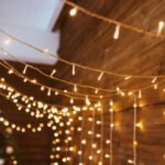 6Mtr Home Decoration Diwali & Wedding Led Christmas String Light Indoor And Outdoor Light ,Festival Decoration Led String Light, One Color Light (36L 6 Mtr)
