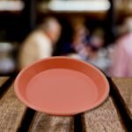 Round Small Plastic Rasmalai / Snacks / Breakfast Plates, Restaurant Serving Trays Home School Coffee Hotel Kitchen Office Reusable Plates For Outdoor, Camping, Bpa-Free (3 Pcs Set)