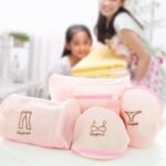 5Pc Zippered Mesh Laundry Wash Bags Foldable Delicates Lingerie Socks, Underwear Blouse, Hosiery, Stocking And Lingerie Washing Machine Clothes Protection Net (5 Pc Set)