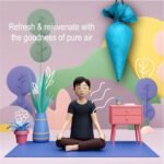 Organic Camphor Cone, Camphor Cone (Charlie) - Room, Car And Air Freshener & Mosquito Repellent (1 Pc)