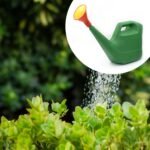 9021 Plastic Watering Can Water Sprayer Sprinkler for Plants Indoor Outdoor Gardening, 5 LTR