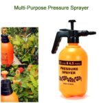 0645A Water sprayer hand help pump pressure garden sprayer - 2 Ltr