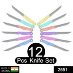 2551 Multipurpose Top Kitchen Knife for Home and Restaurant (12Pcs Set)