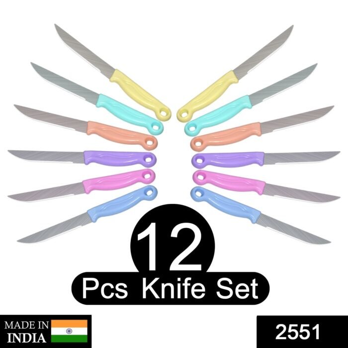 2551 Multipurpose Top Kitchen Knife for Home and Restaurant (12Pcs Set)