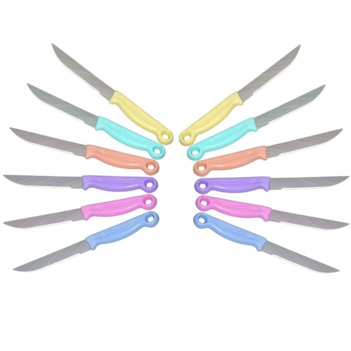 2551 Multipurpose Top Kitchen Knife for Home and Restaurant (12Pcs Set)