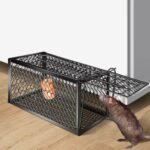 Foldable Mouse Trap Squirrel Trap Small Live Animal Trap Mouse Voles Hamsters Live Cage Rat Mouse Cage Trap For Mice Easy To Catch And Release