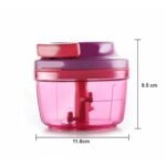 8104 Ganesh Little Master Master Chopper, Multicolour (300Ml)