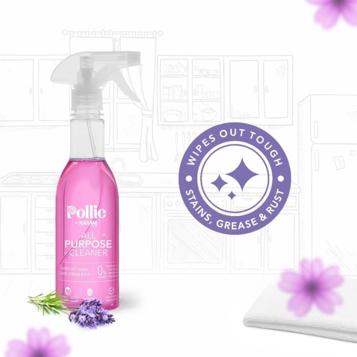 All Purpose Cleaner | Kills 99.9% Germs | Cleans Tough Stains, Grease And Rust On Gas Stove, Chimney, Kitchen Sinks, Walls, Rusty Surfaces (400 Ml) - Image 1