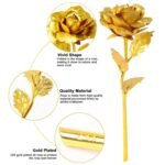 0879 B Golden Rose used in all kinds of places like household, offices, cafe's, etc. for decorating and to look good purposes and all.