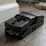 Plastic Heavy Duty Big Mouse Trap (1 Pc) - Image 5