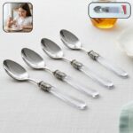 Premium Stainless Steel Dessert Spoon With Plastic Handle Set (4 Pc Set)
