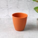 Durable Plastic Small Drinking Glass (1 Pc)
