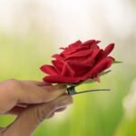 Flower Rose Hair Pin/Clip – Velvet Flower Design (12 Pcs Set, Red Color) - Image 3