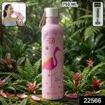 Pexpo Oslo Art Printed Insulated Stainless Steel Water Bottle - 750 ML - Image 2
