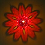 Candle Cup with Multi Shape, Diwali  (Multicolor) (12 Pcs Set) - Image 7