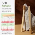 Eco-Friendly Natural Bamboo Toothbrush with Medium Bristles (2 Pc) - Image 5