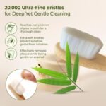 Eco Friendly Wooden Bamboo Toothbrush with Protective Travel Case 1 Pc - Image 3