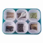Plastic Real Masala Masti Box with 6 Compartments for Spice Storage - Image 5