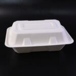 Vegnar Premium Bagasse Clamshell Food Box (10 Pc, 9x6 Inch) - Image 7