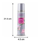 Signature Rajnigandha Room & Car Freshener Spray 250 ML - Image 6