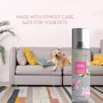 Signature Rajnigandha Room & Car Freshener Spray 250 ML - Image 7