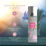 Signature Rajnigandha Room & Car Freshener Spray 250 ML - Image 8