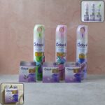 Odonil Room Spray and Air Freshener Blocks Combo Set (1 Set, Mix Fragrance 220 ML) - Image 3