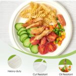 Vegnar Disposable Round Food Serving Plate (10 Pc) - Image 4