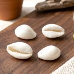 Natural Kaudi Cowrie Shells (4 Pc, Mix Size) - Image 8