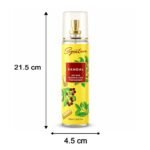 Signature Sandal Room & Car Freshener Spray 250 ML - Image 6